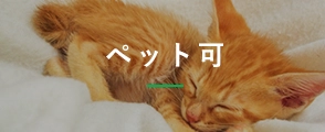 ybg